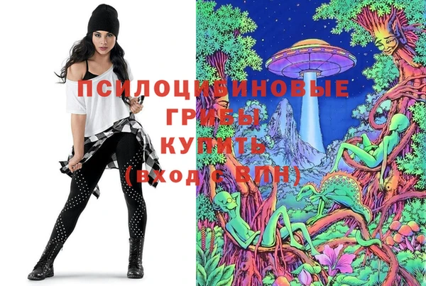 дмт Володарск